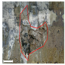 Remotesensing 17 03173 i174 Remotesensing 17 03173 i174