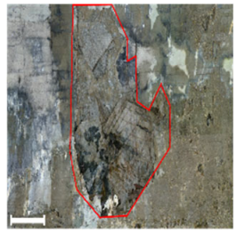 Remotesensing 17 03173 i176 Remotesensing 17 03173 i176