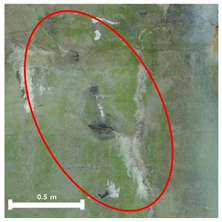 Remotesensing 17 03173 i199 Remotesensing 17 03173 i199