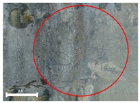 Remotesensing 17 03173 i203 Remotesensing 17 03173 i203