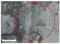 Remotesensing 17 03173 i205 Remotesensing 17 03173 i205