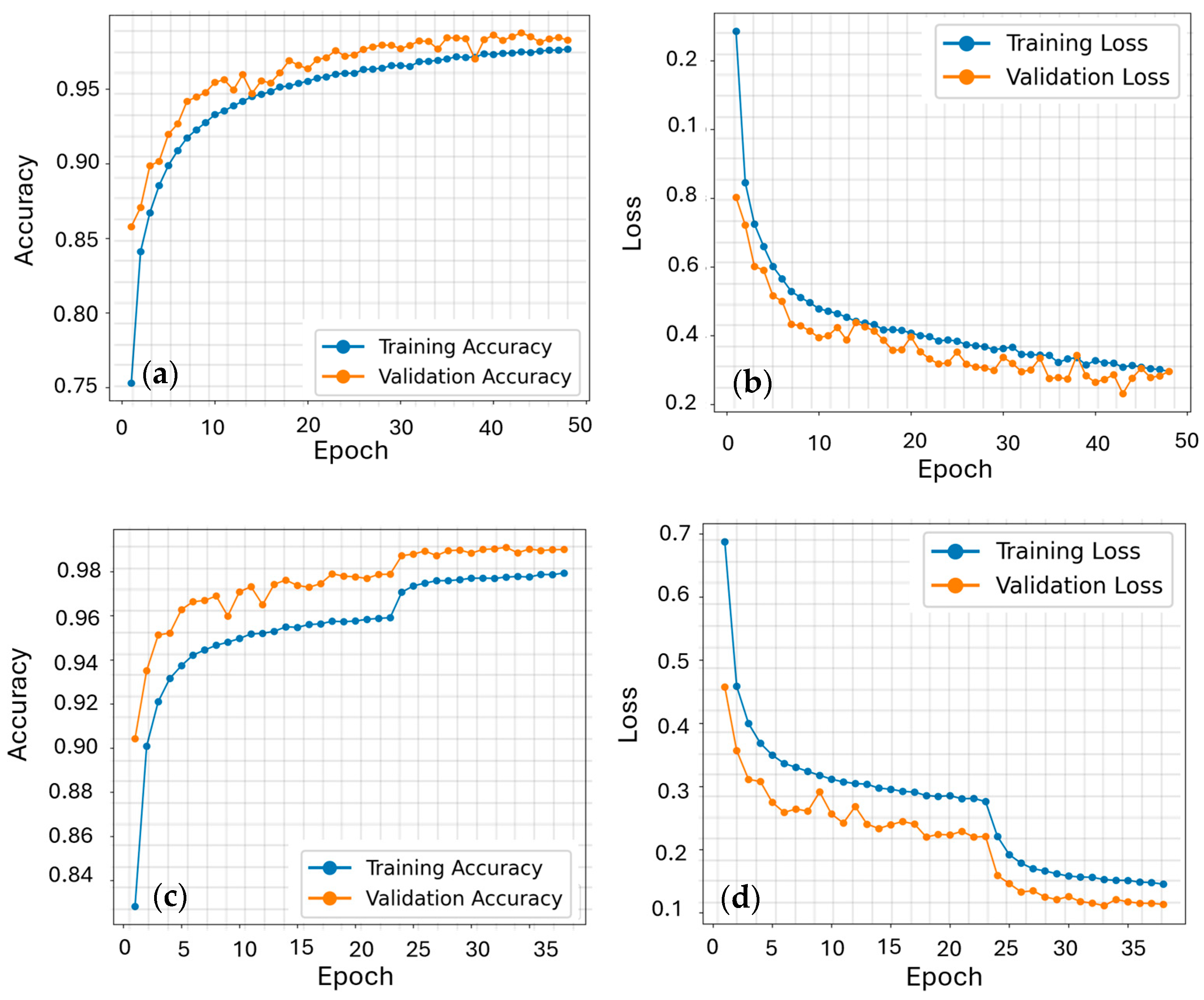 Remotesensing 17 03207 g010