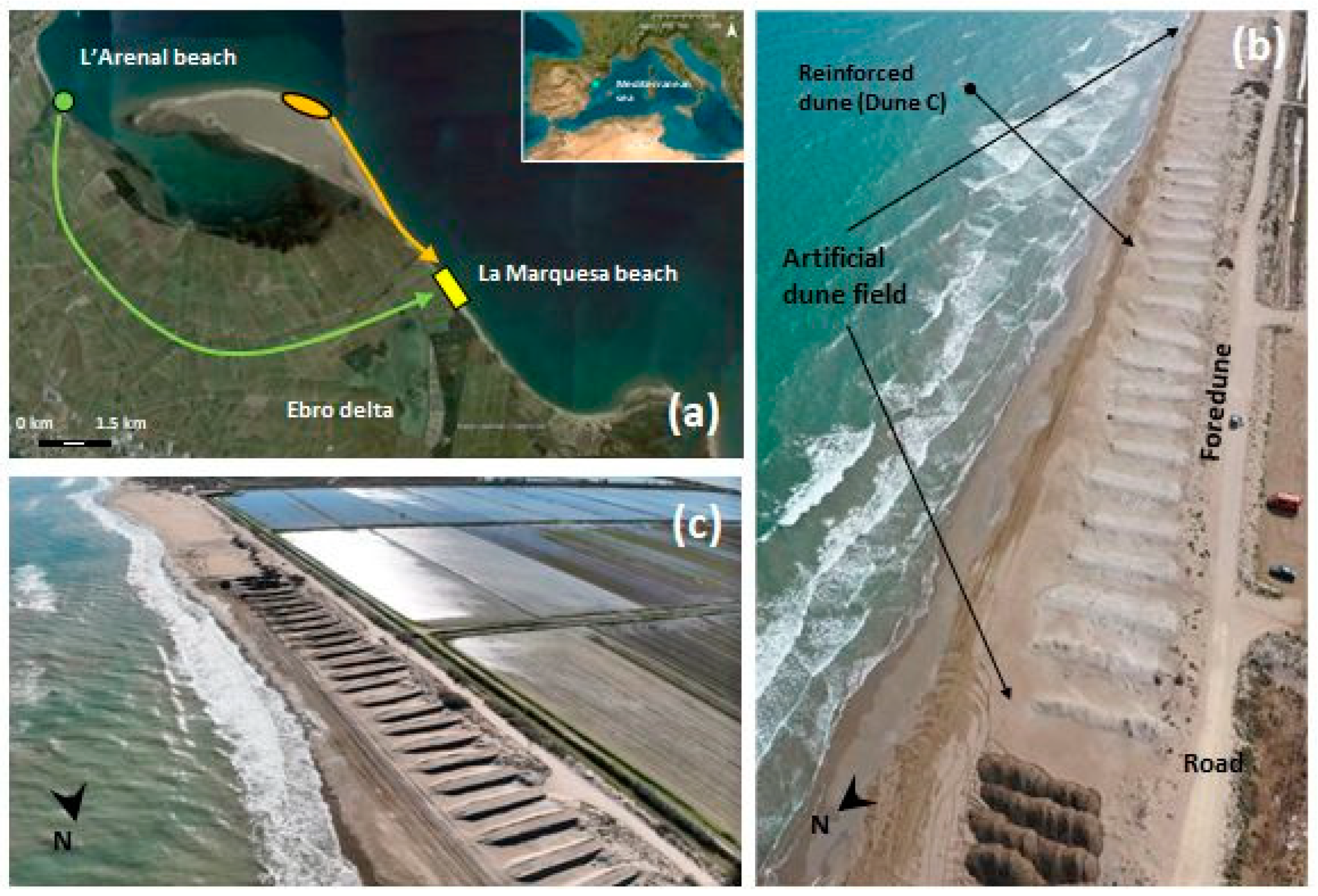 Remotesensing 17 03263 g001