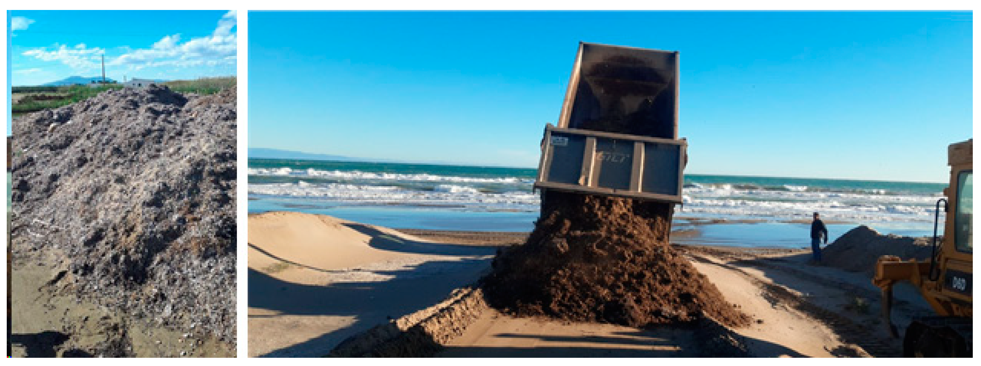 Remotesensing 17 03263 g003