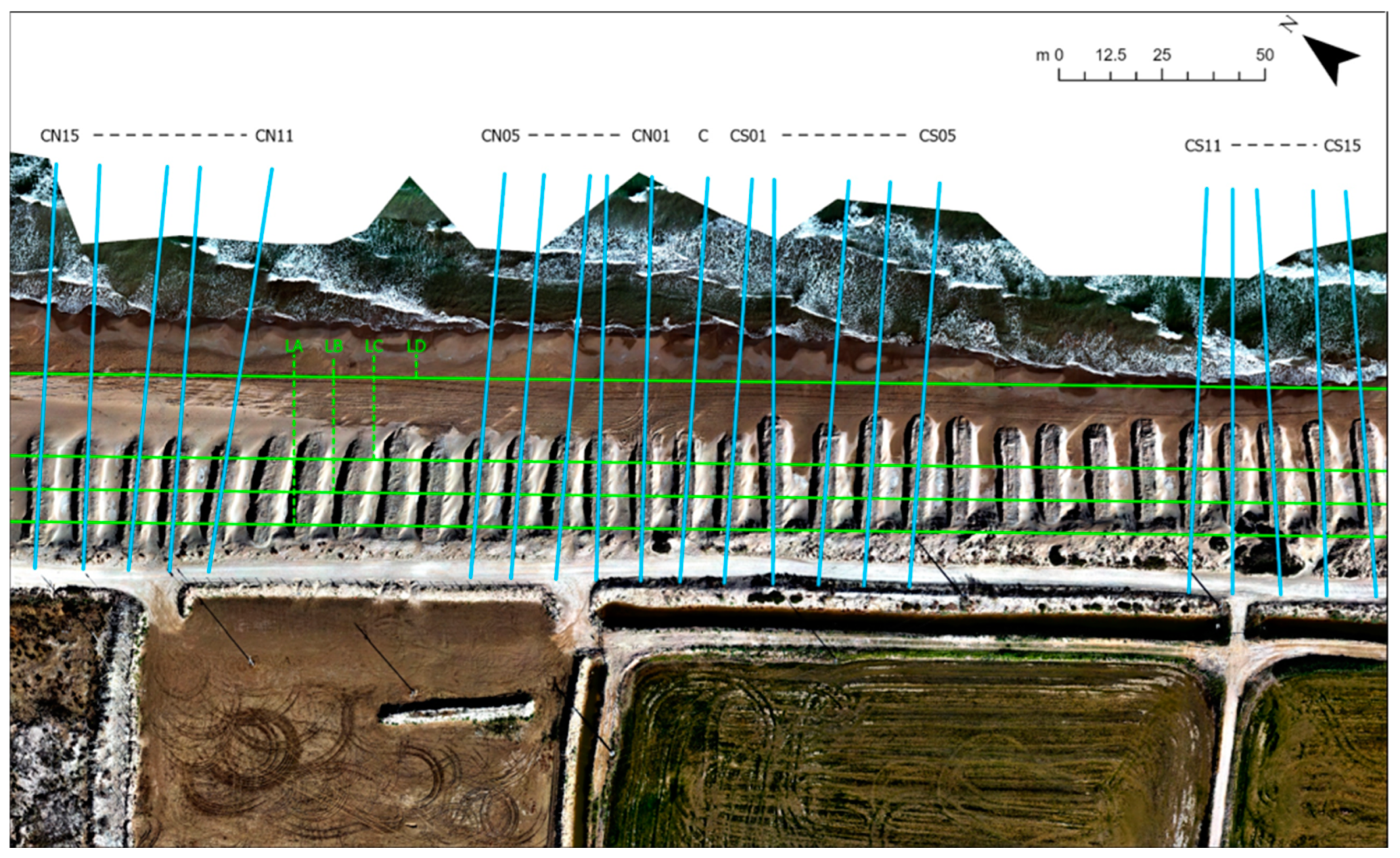 Remotesensing 17 03263 g005