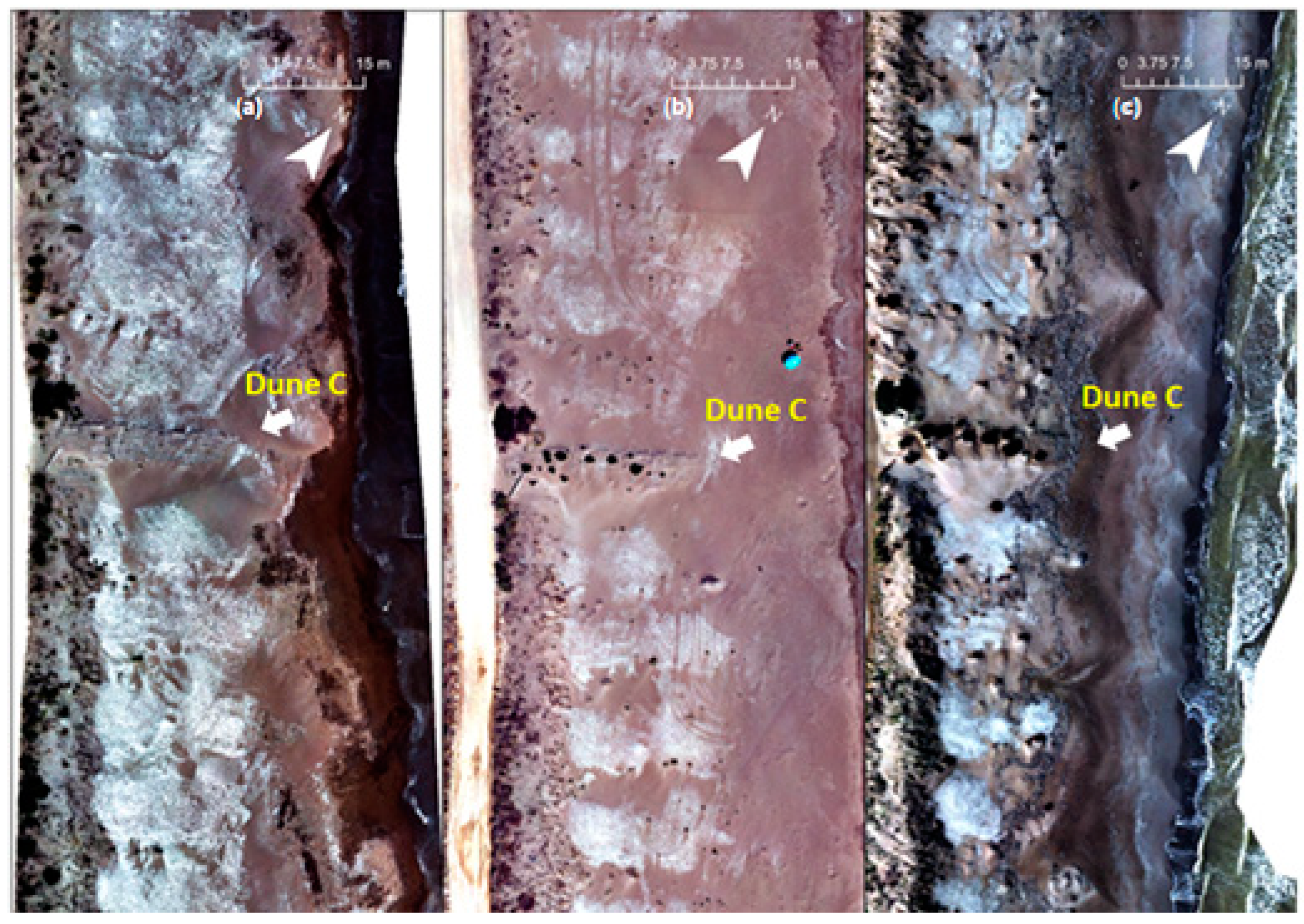 Remotesensing 17 03263 g012