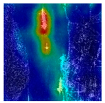Remotesensing 17 03301 i008 Remotesensing 17 03301 i008