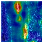 Remotesensing 17 03301 i016 Remotesensing 17 03301 i016