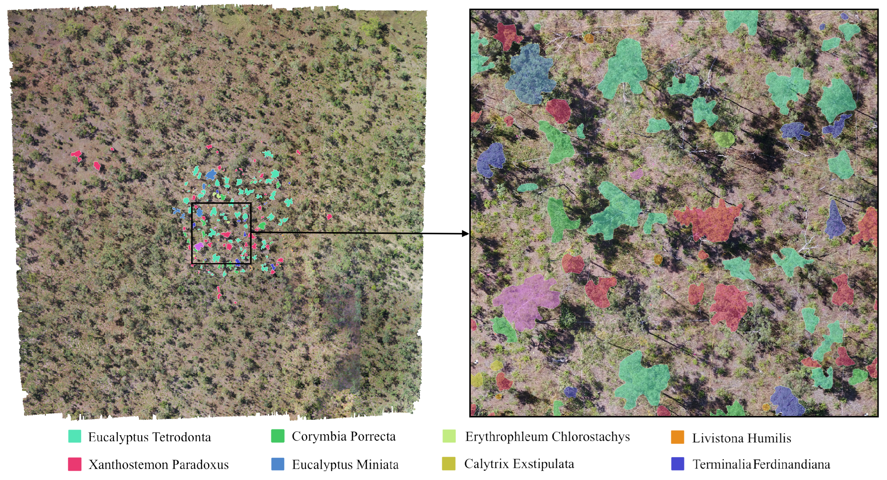 Remotesensing 17 03346 g012 Remotesensing 17 03346 g012