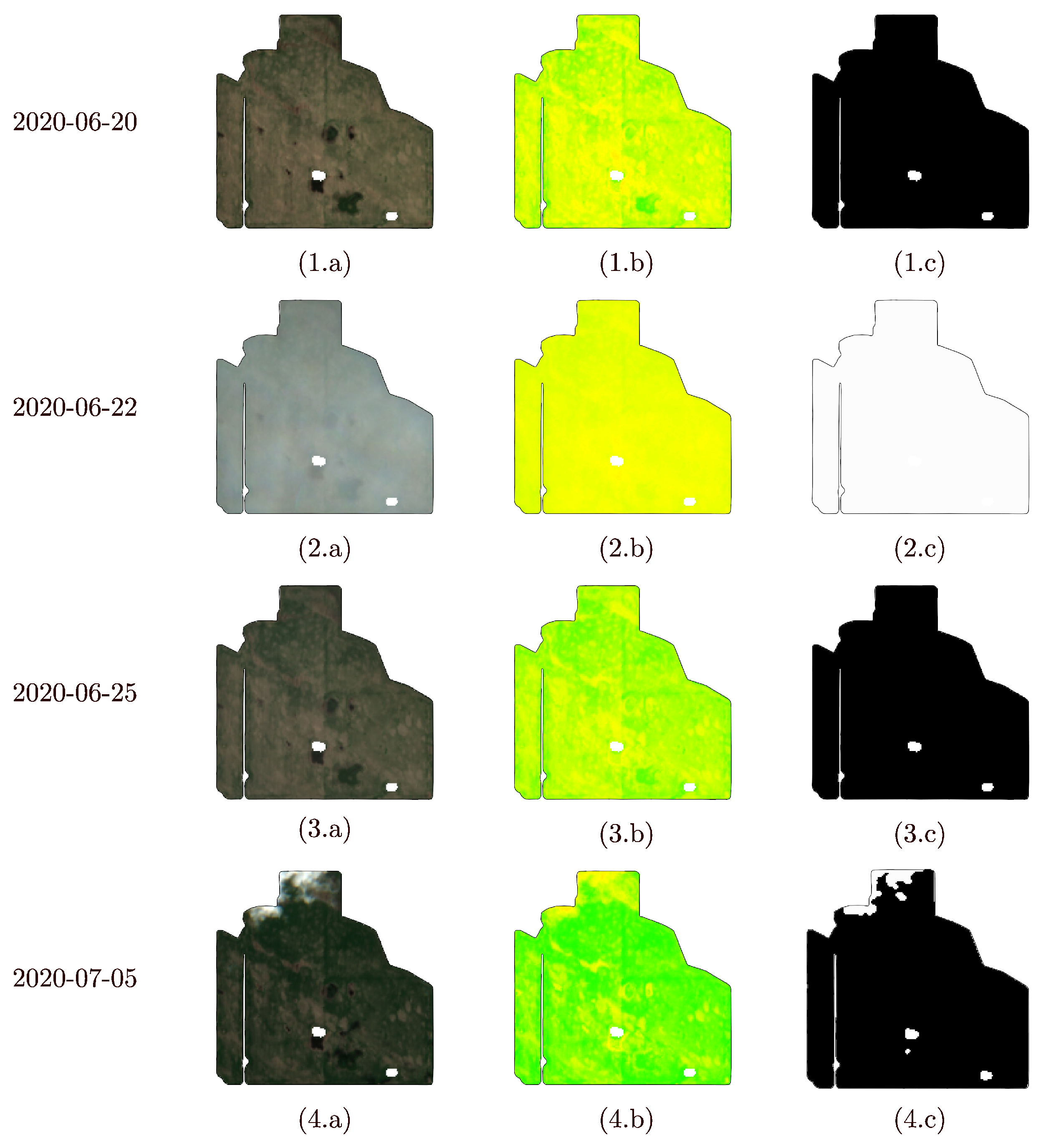 Remotesensing 17 03399 g001a