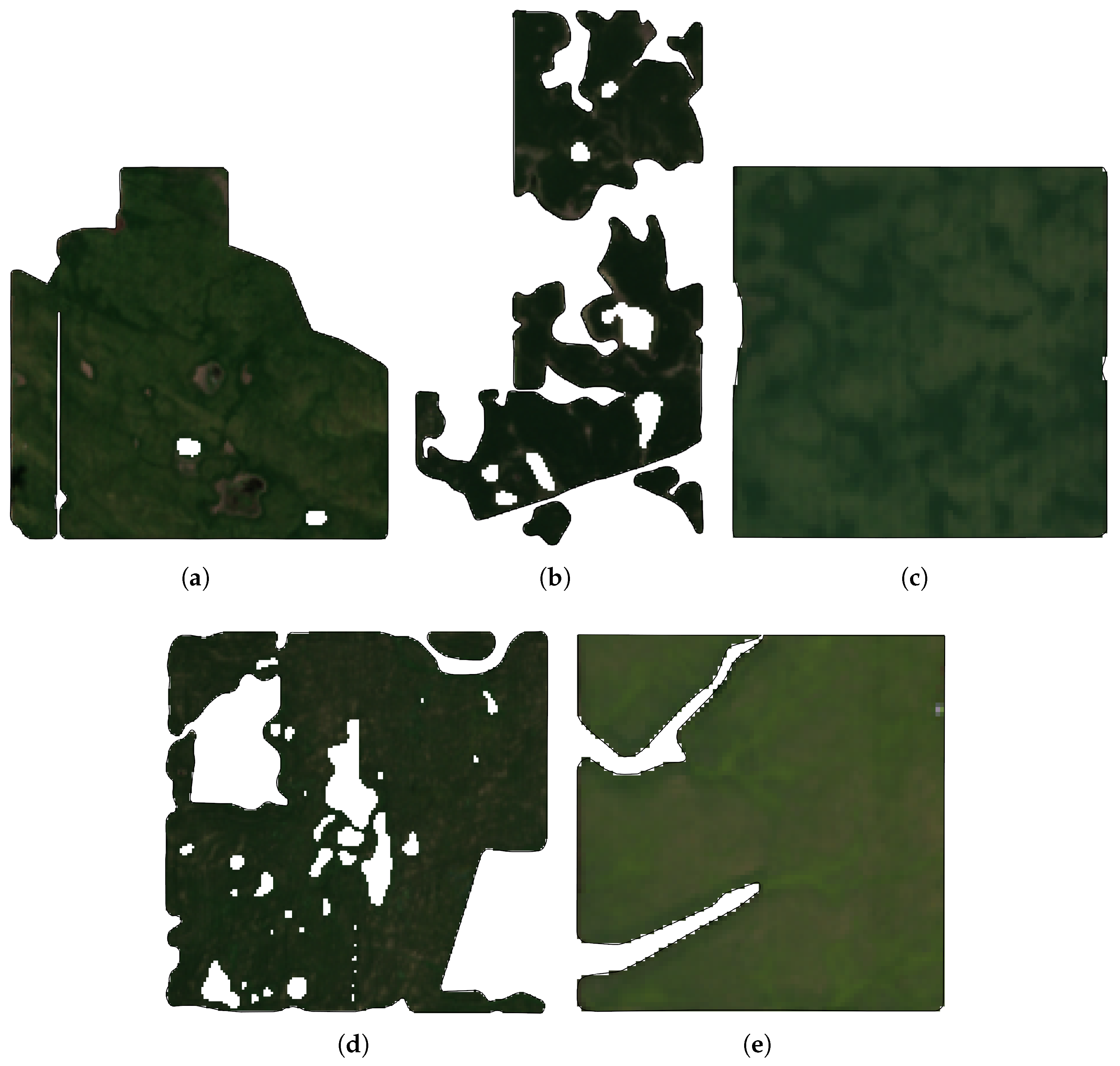 Remotesensing 17 03399 g010