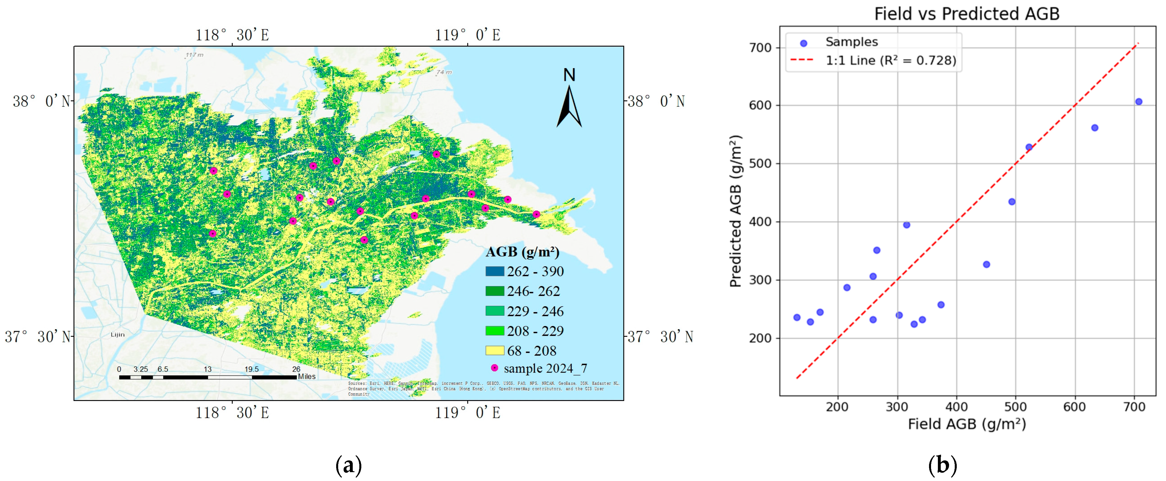 Remotesensing 17 03418 g010