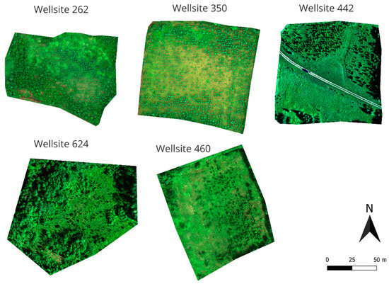 Remotesensing 17 03440 g0a1
