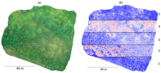 Remotesensing 17 03440 g0a2