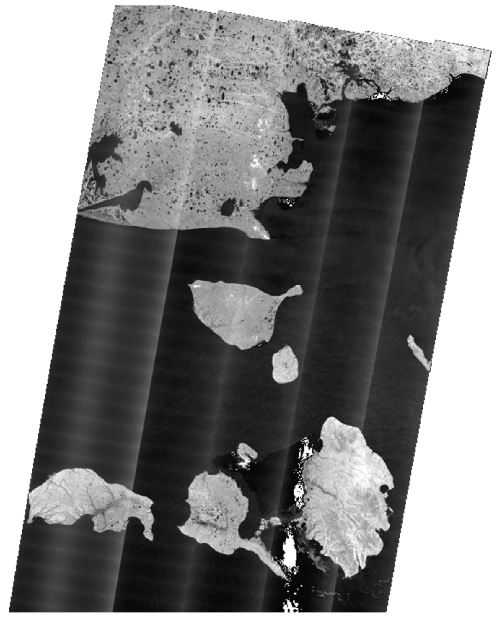 Remotesensing 17 03474 g003