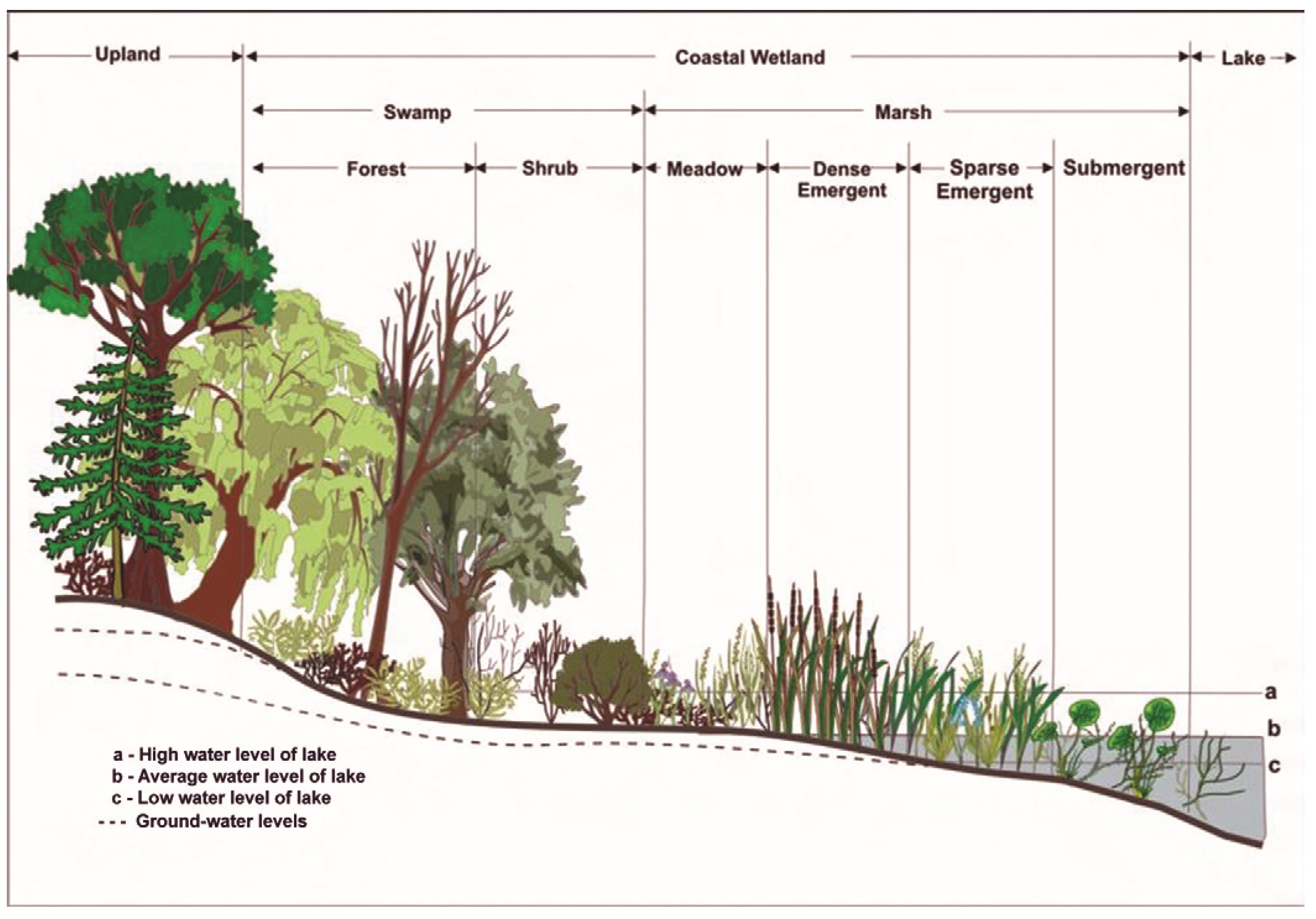 Remotesensing 17 03506 g002