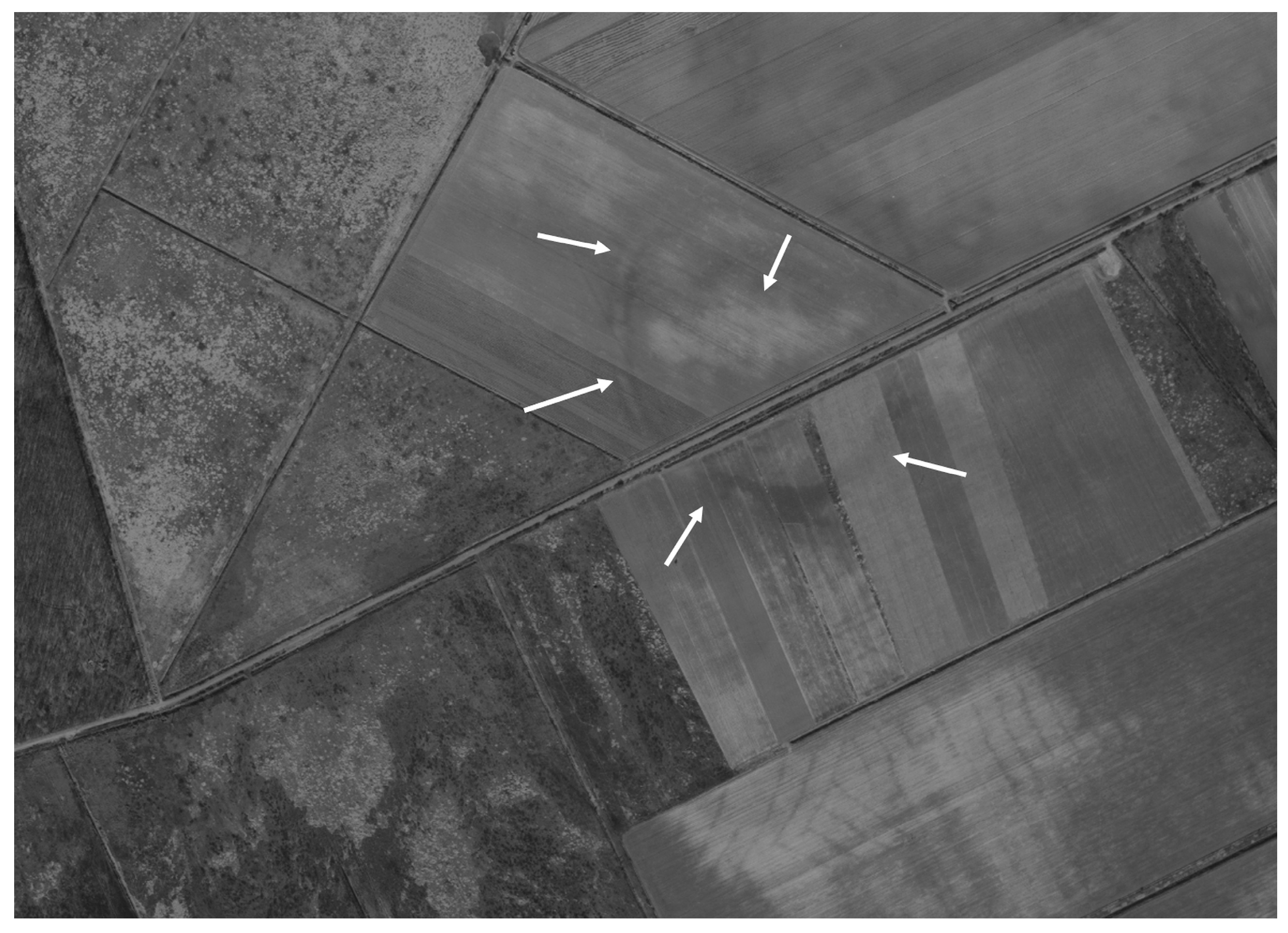 Remotesensing 17 03508 g006 Remotesensing 17 03508 g006