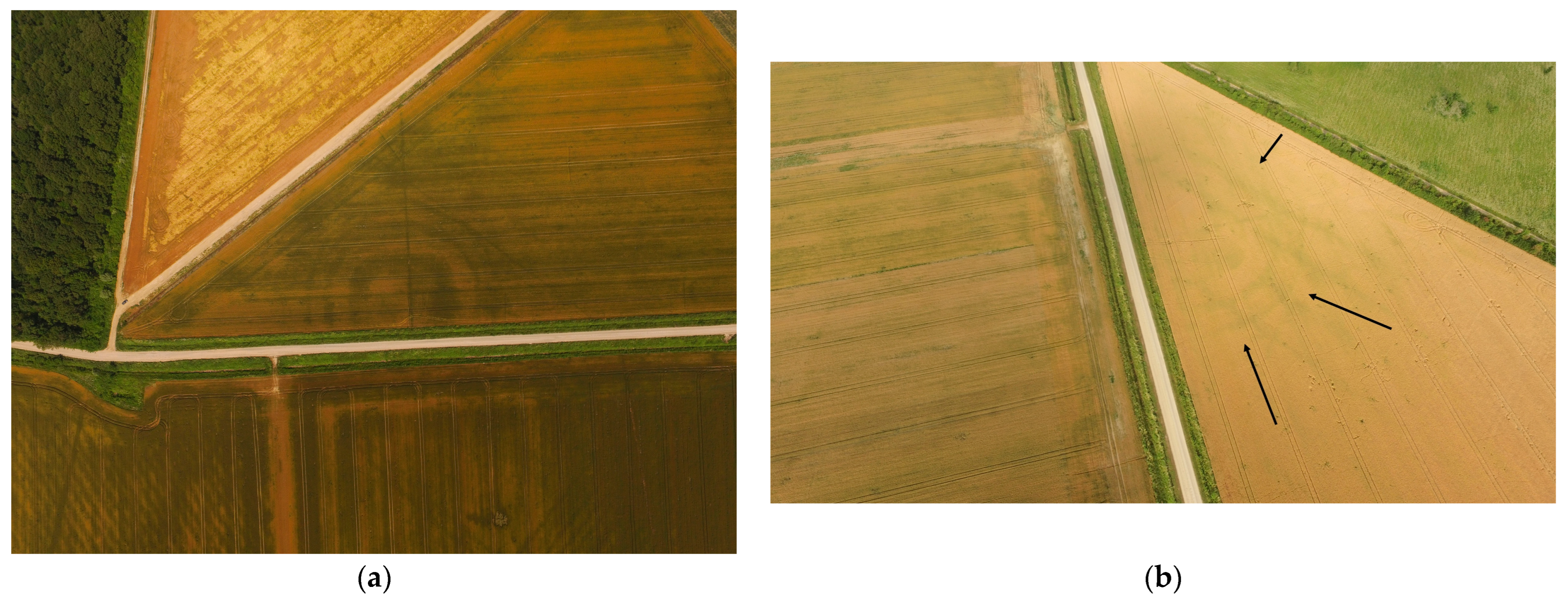 Remotesensing 17 03508 g008 Remotesensing 17 03508 g008