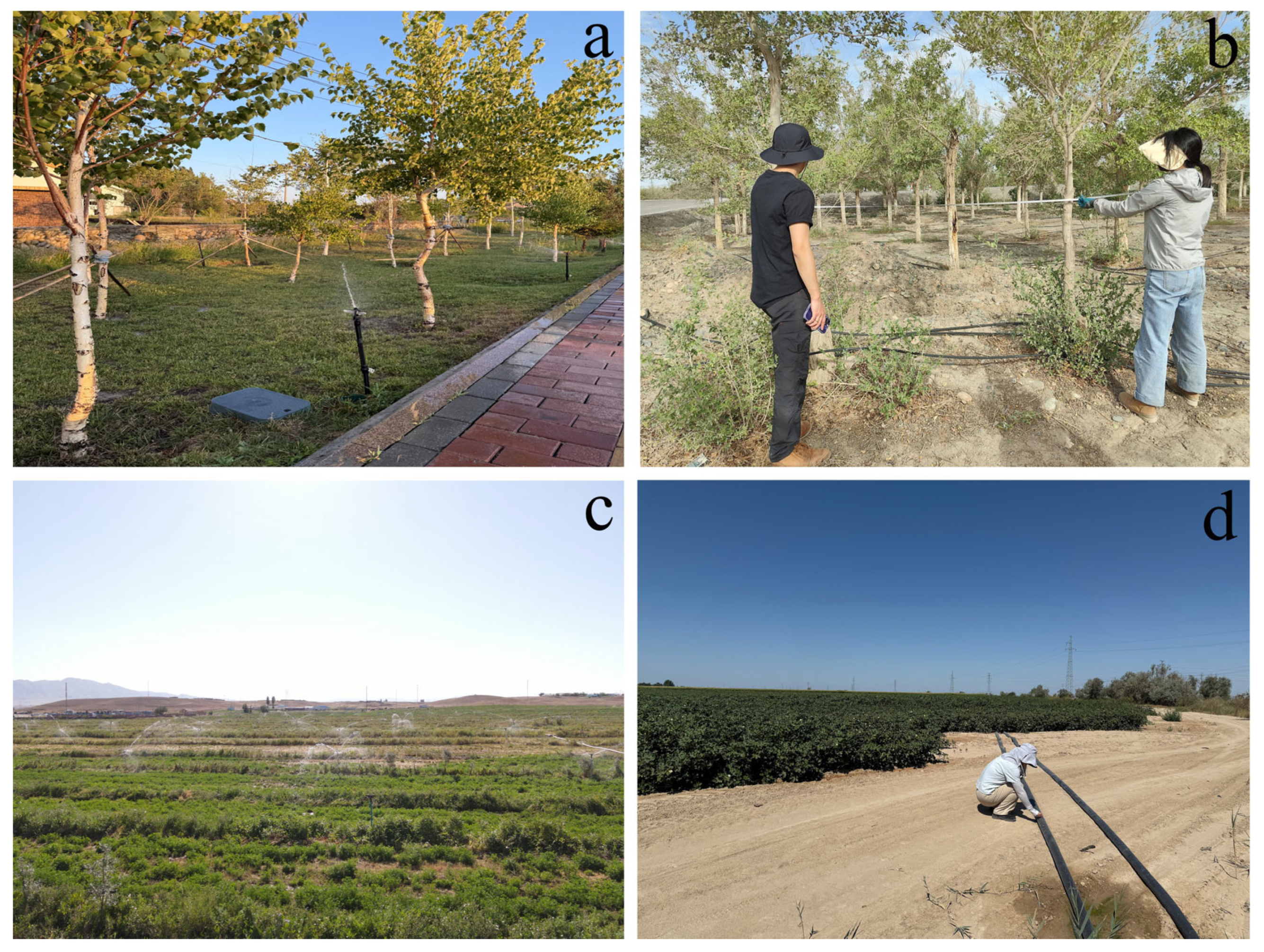 Remotesensing 17 03511 g013 Remotesensing 17 03511 g013