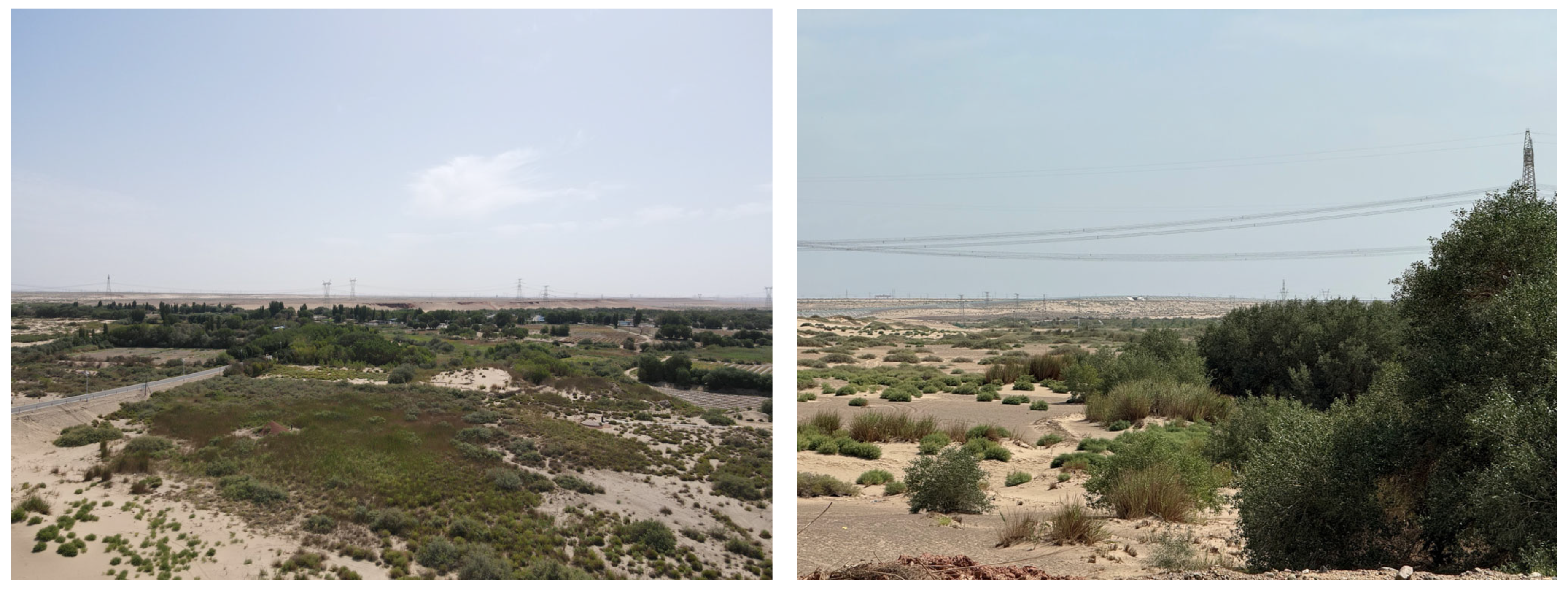 Remotesensing 17 03511 g014 Remotesensing 17 03511 g014