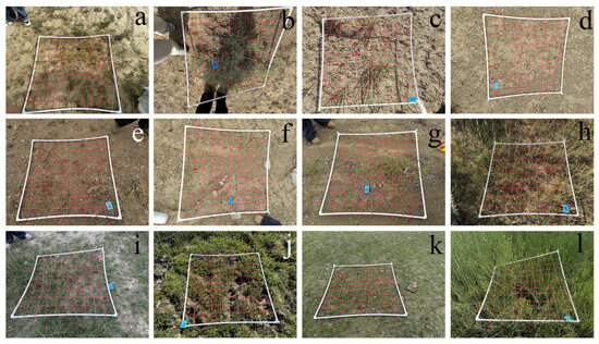 Remotesensing 17 03511 g0a3