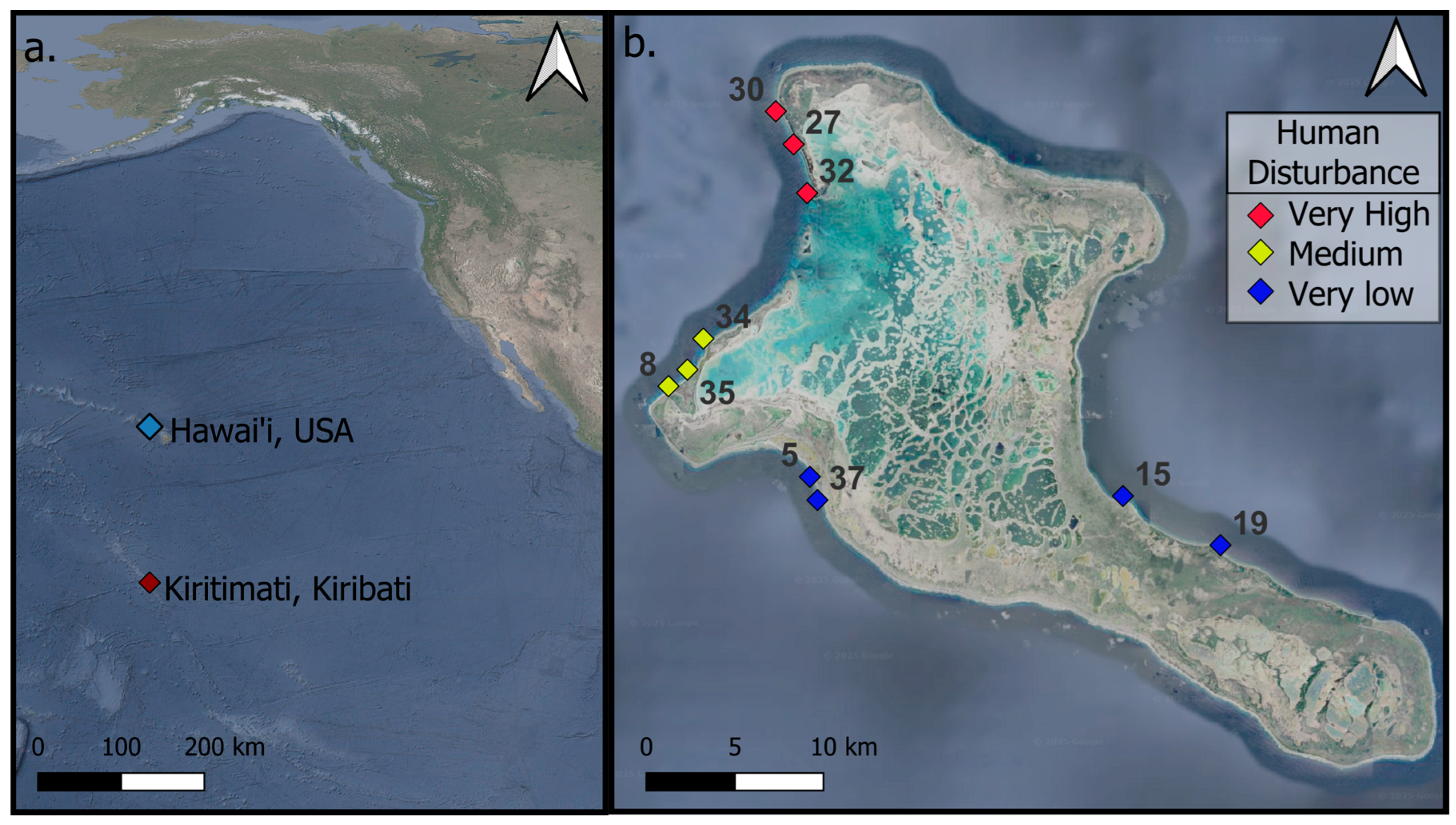 Remotesensing 17 03529 g001 Remotesensing 17 03529 g001