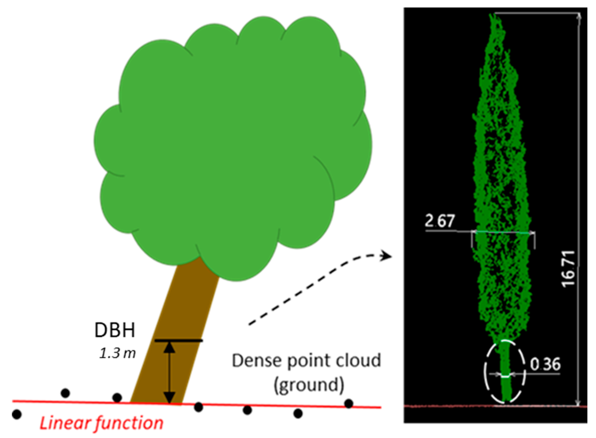 Remotesensing 17 03557 g005