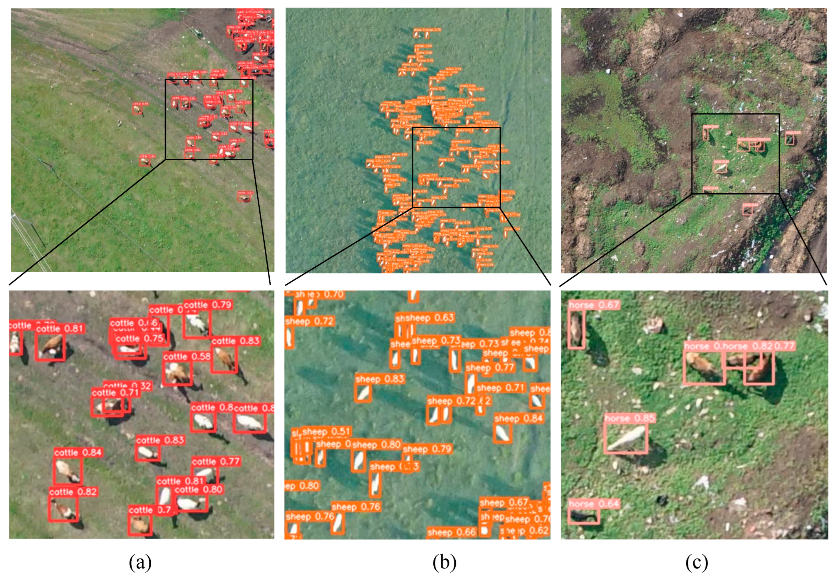 Remotesensing 17 03582 g010