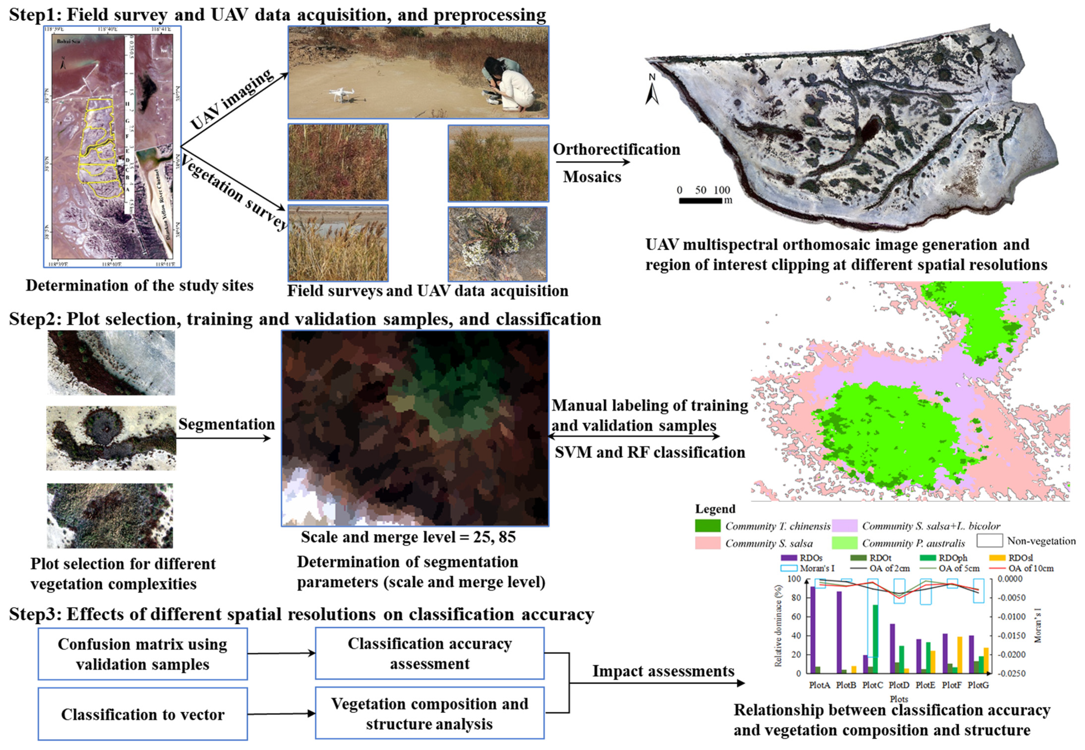 Remotesensing 17 03598 g002