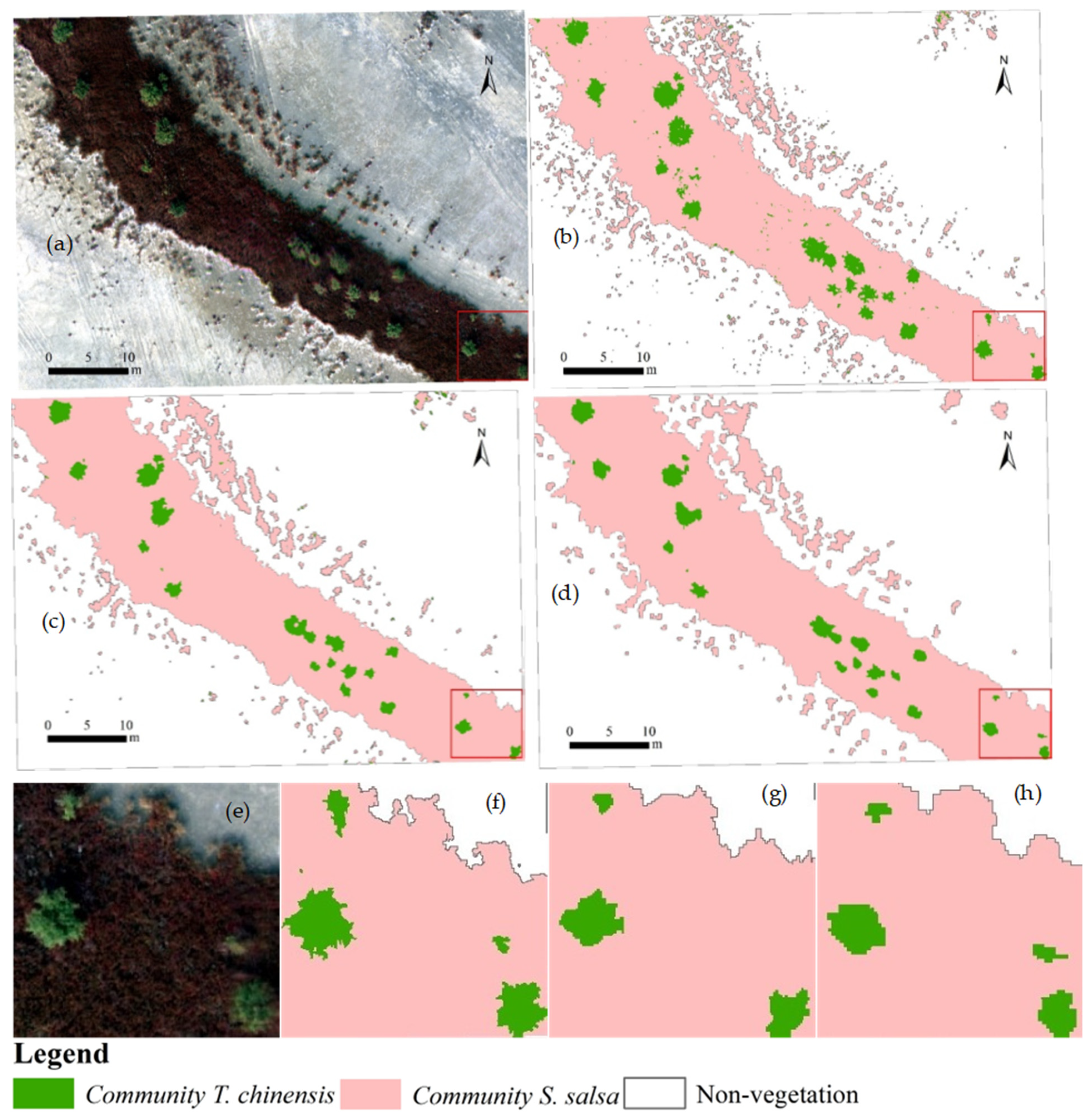 Remotesensing 17 03598 g004