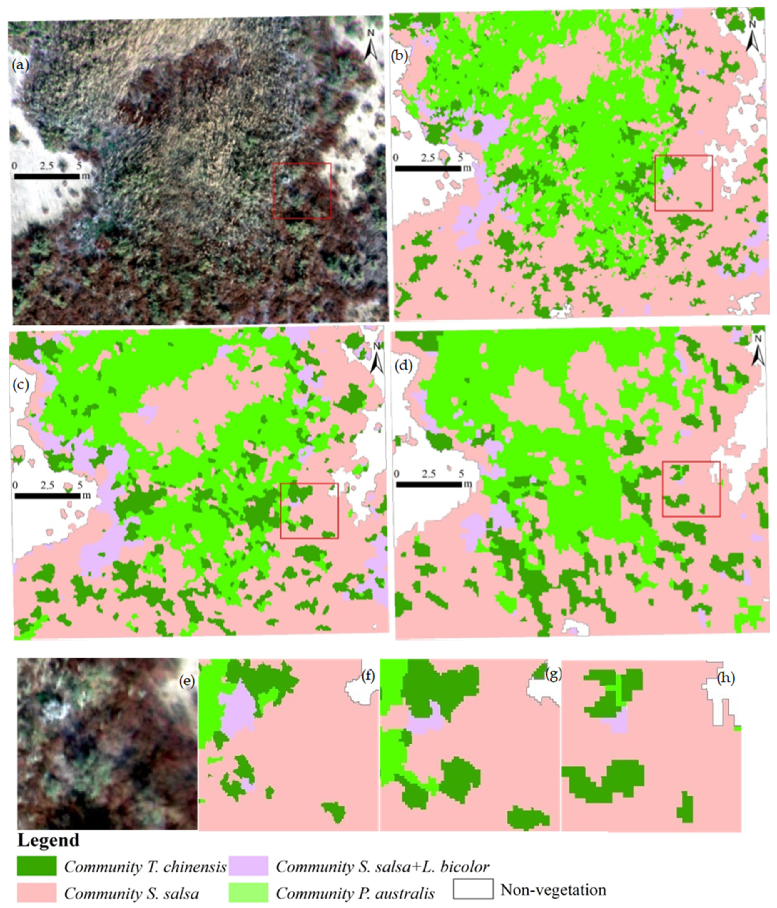 Remotesensing 17 03598 g005