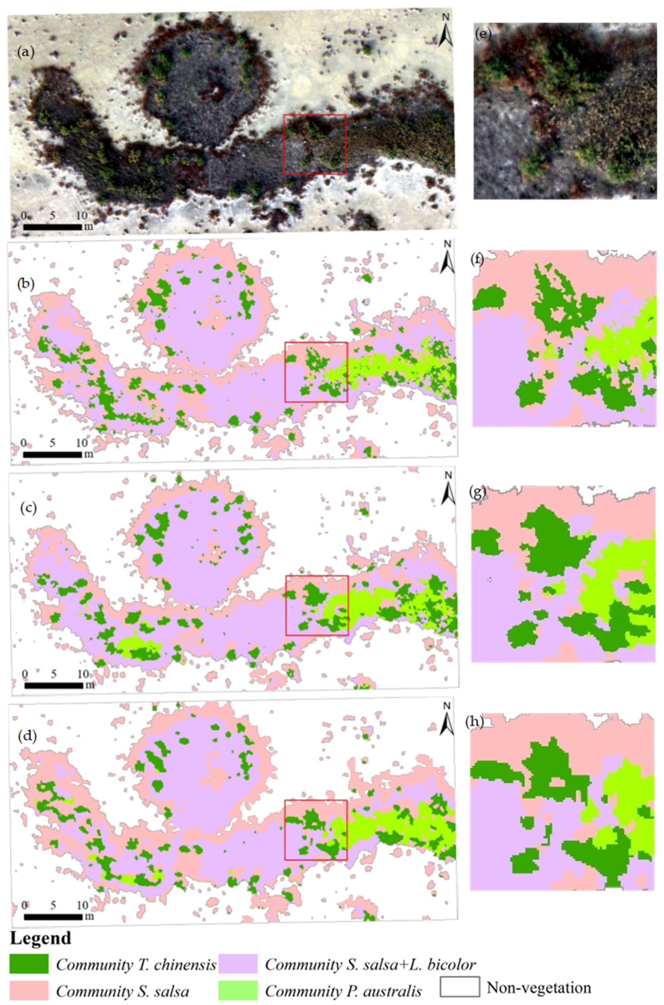 Remotesensing 17 03598 g006