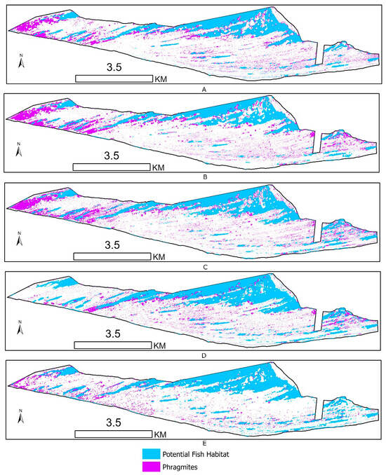 Remotesensing 17 03638 g0a10