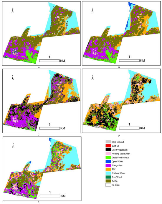 Remotesensing 17 03638 g0a3