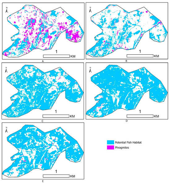 Remotesensing 17 03638 g0a7