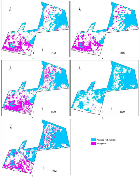 Remotesensing 17 03638 g0a8
