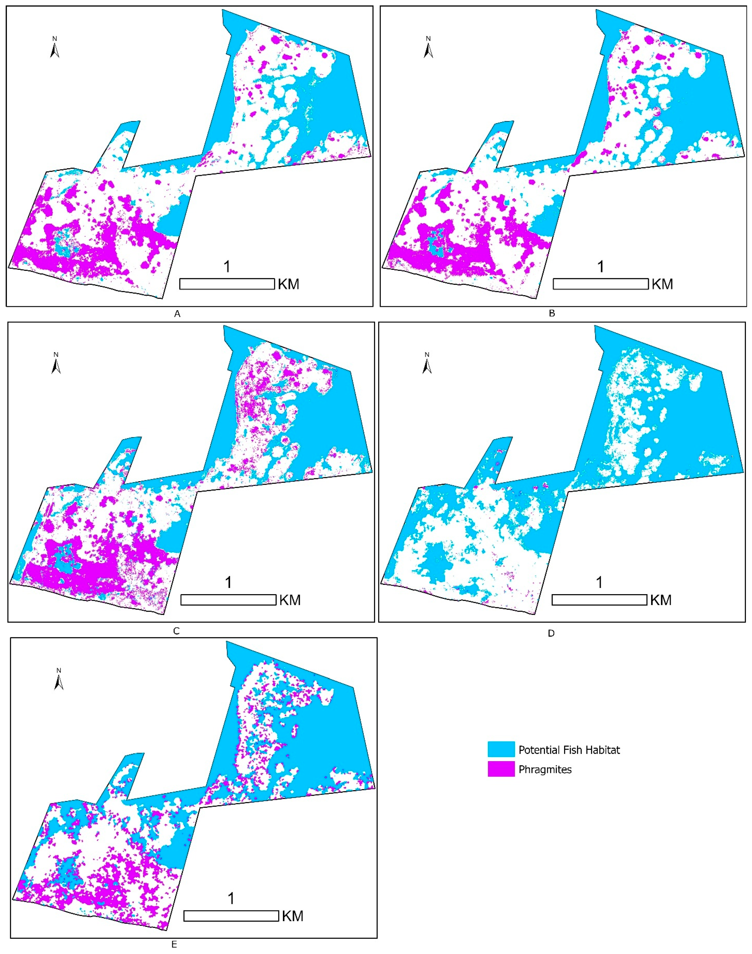 Remotesensing 17 03638 g0a8 Remotesensing 17 03638 g0a8