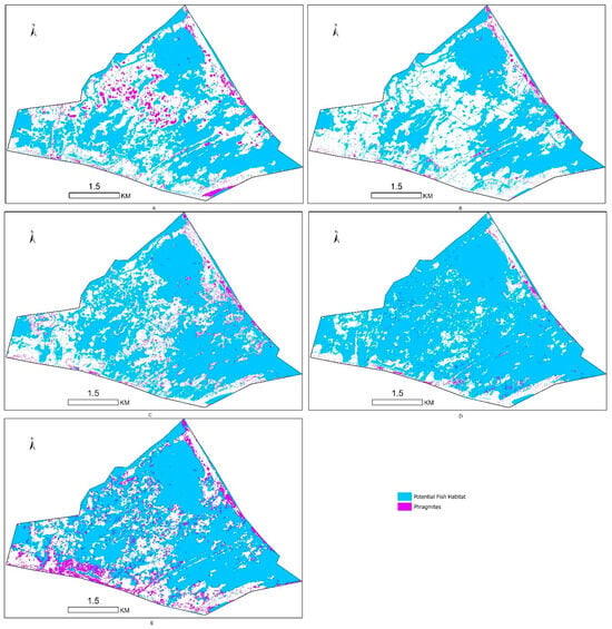 Remotesensing 17 03638 g0a9