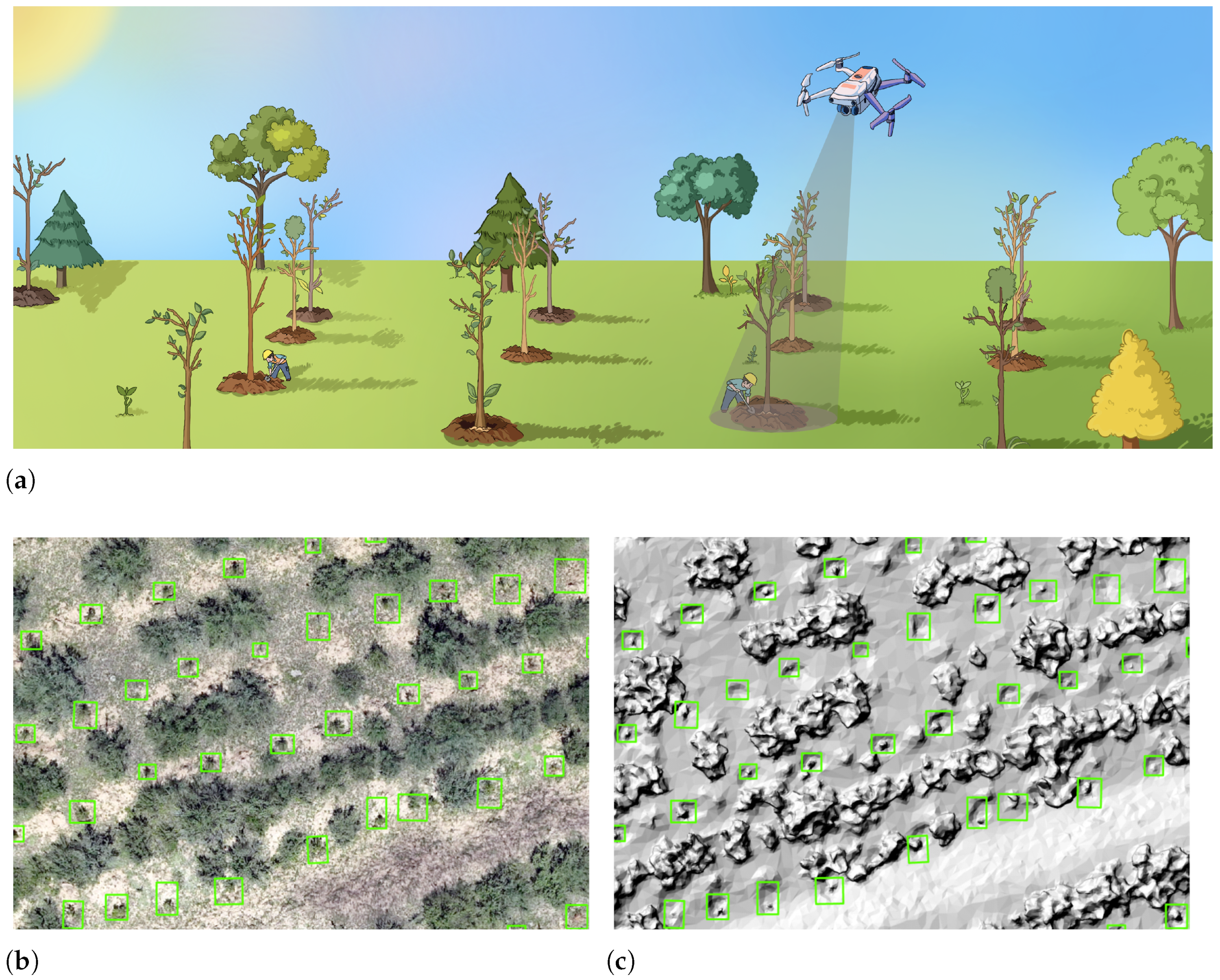 Remotesensing 17 03650 g001