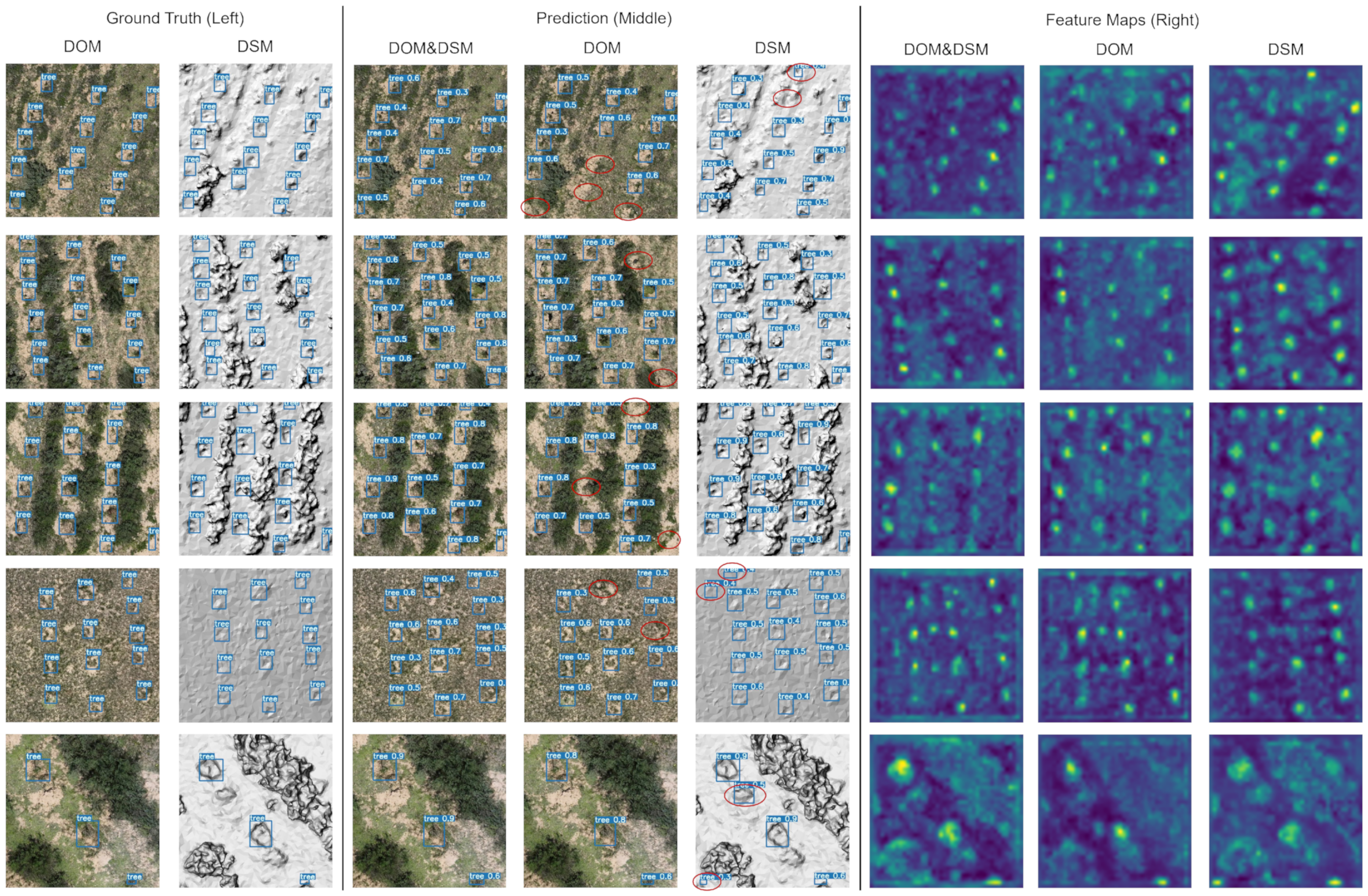 Remotesensing 17 03650 g006