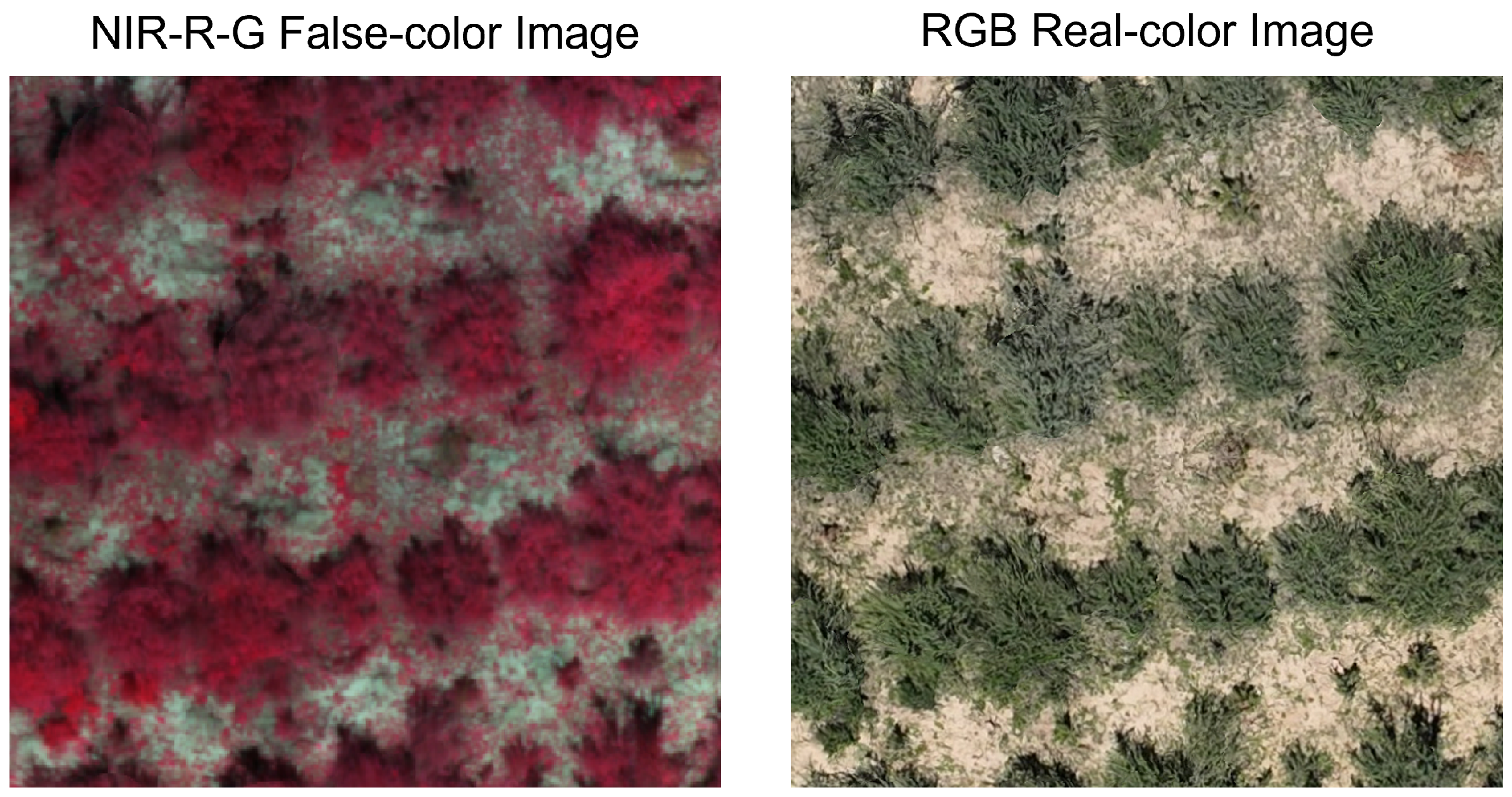 Remotesensing 17 03650 g010