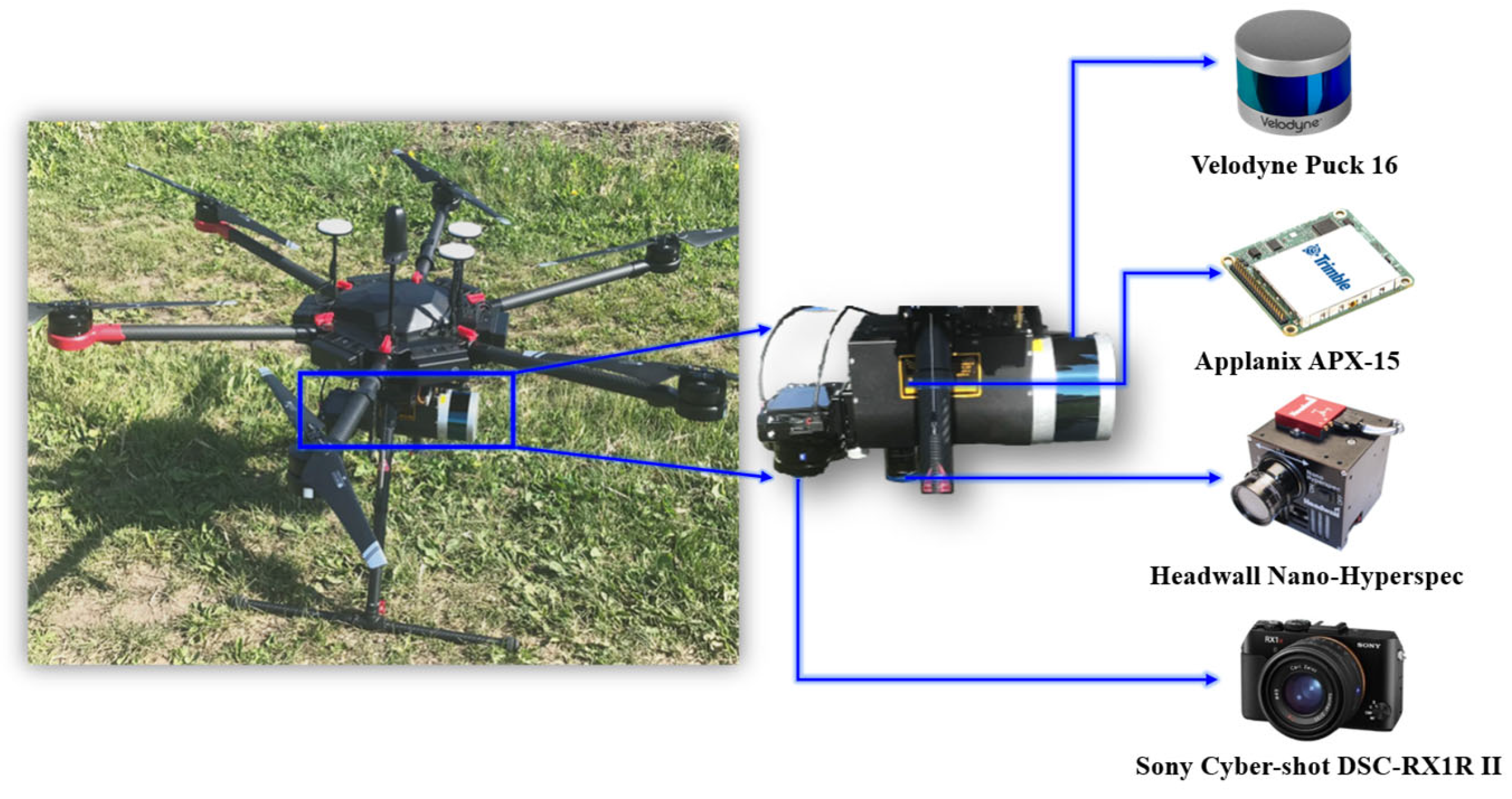 Remotesensing 17 03654 g003