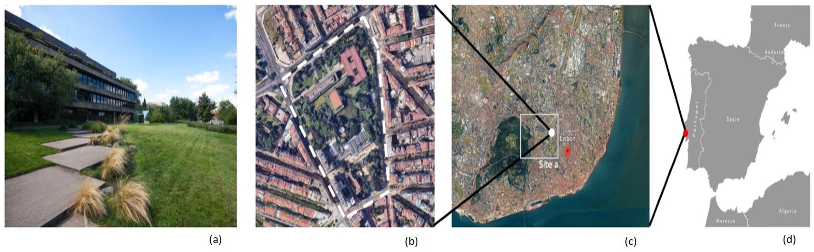 Remotesensing 17 03657 g002