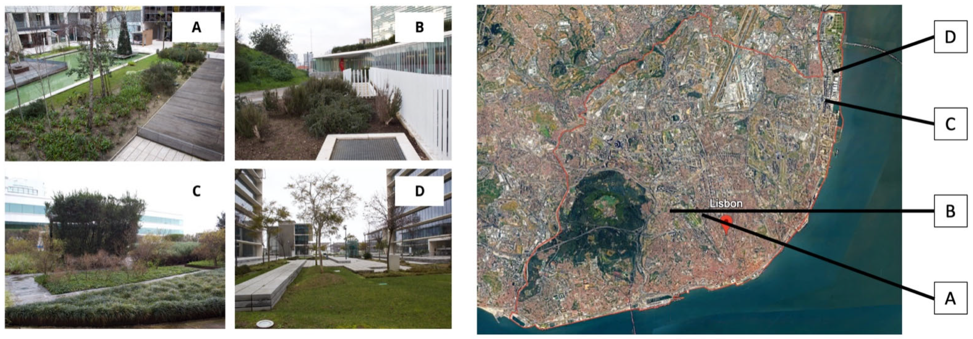 Remotesensing 17 03657 g003