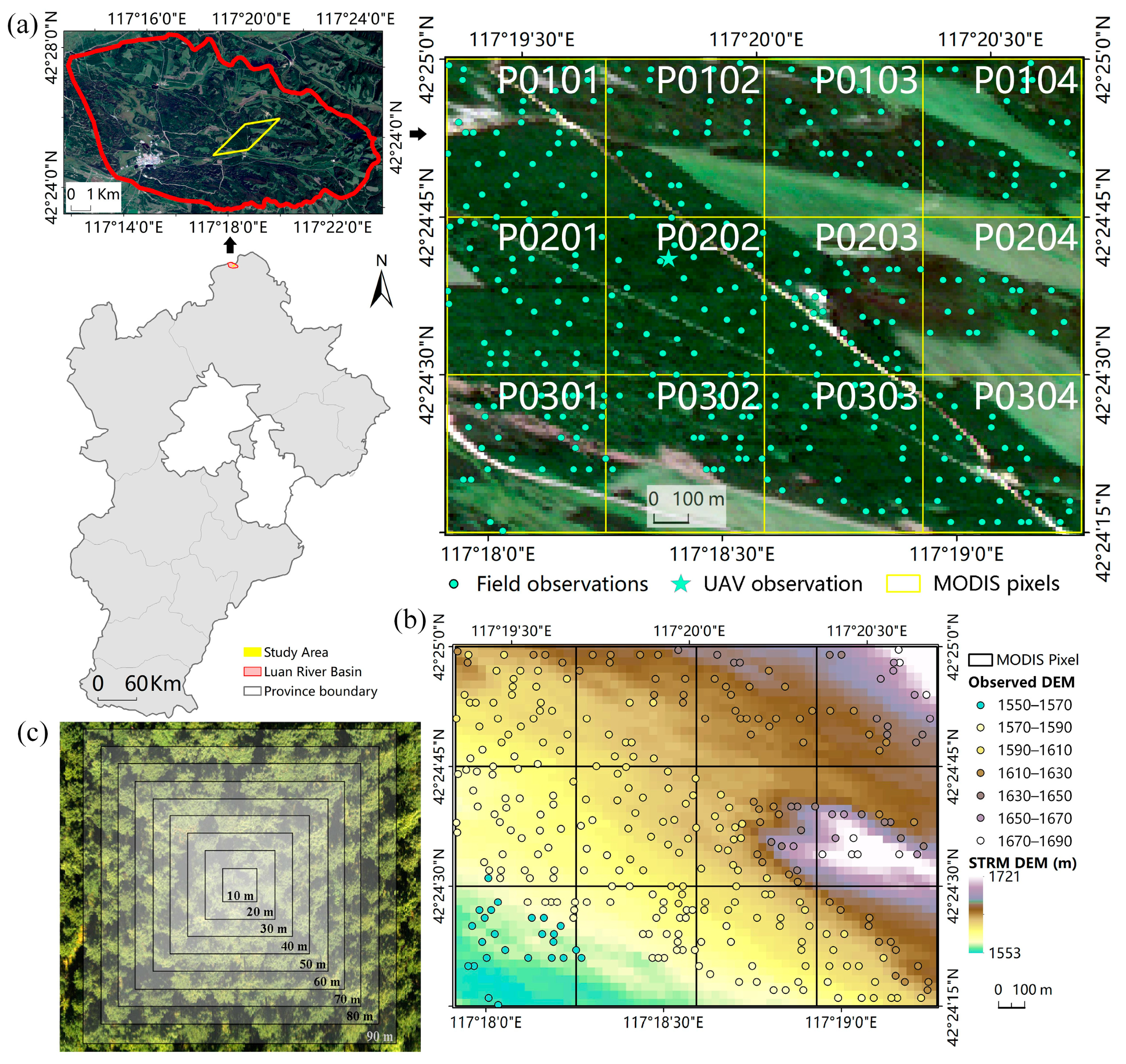 Remotesensing 17 03770 g001 Remotesensing 17 03770 g001