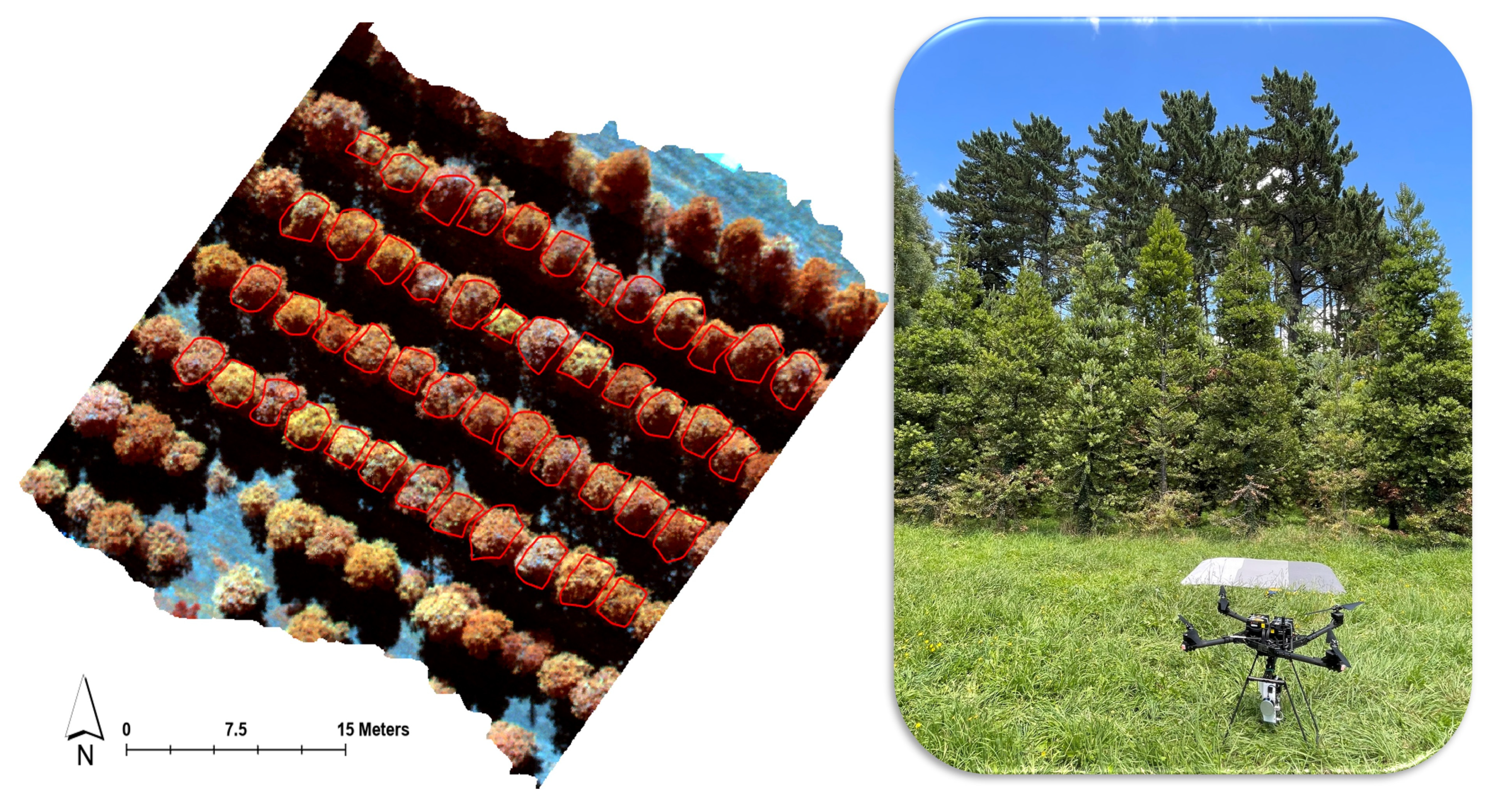 Remotesensing 17 03914 g002 Remotesensing 17 03914 g002