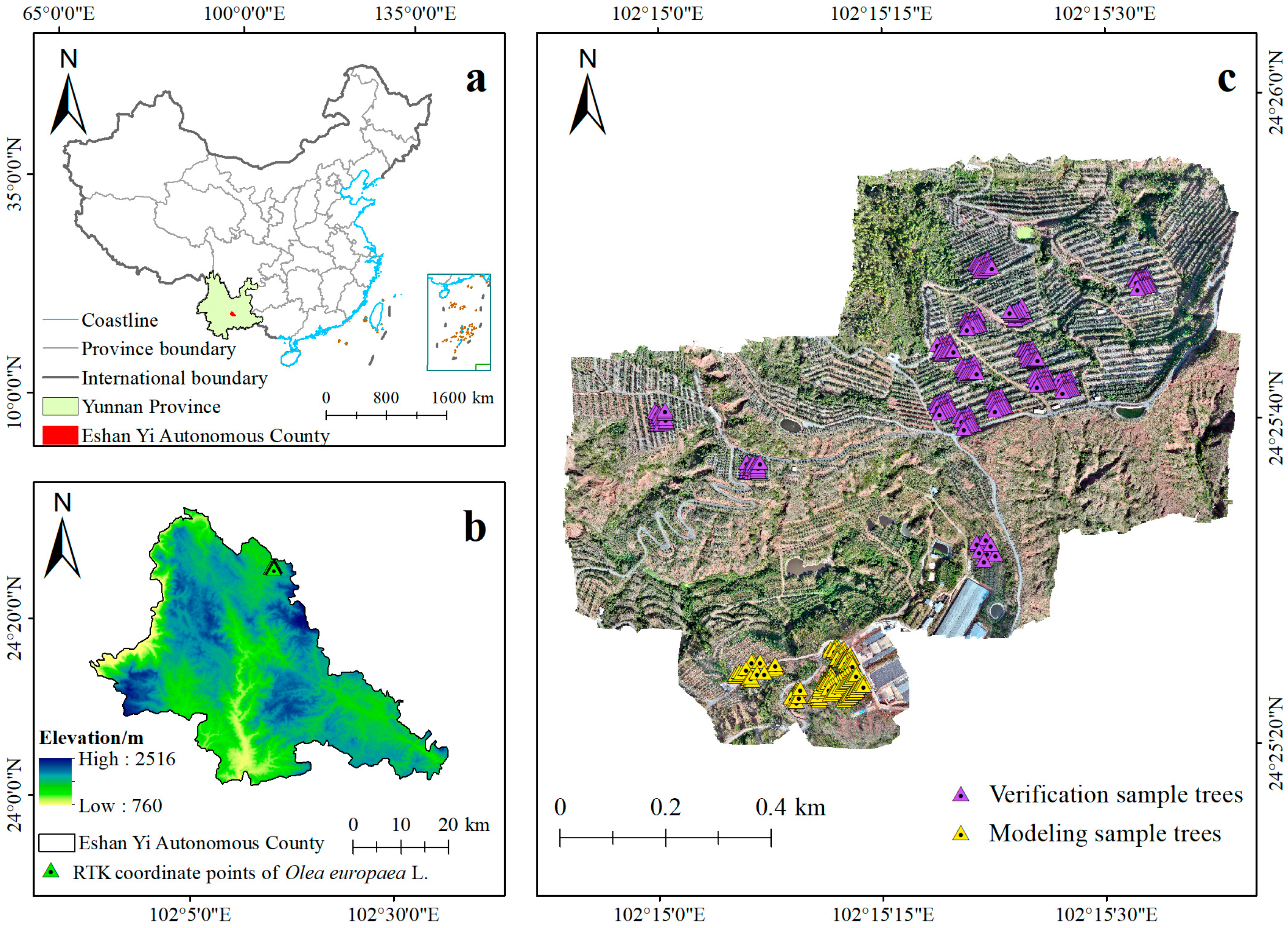 Remotesensing 17 03923 g002