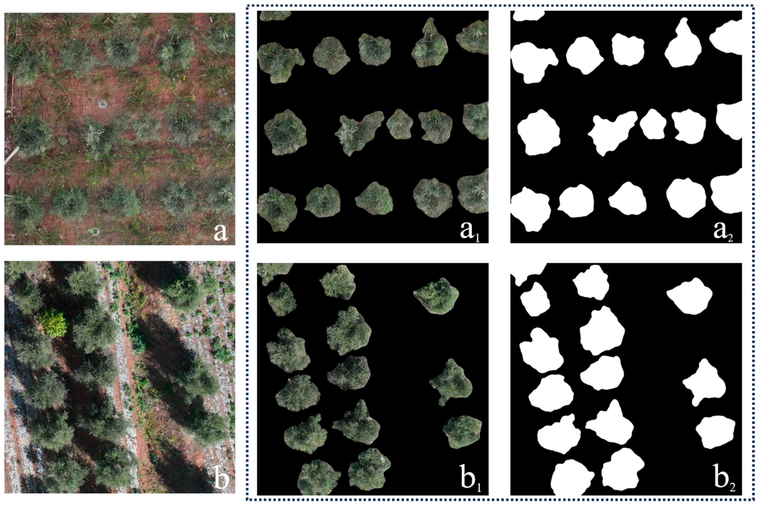 Remotesensing 17 03923 g007