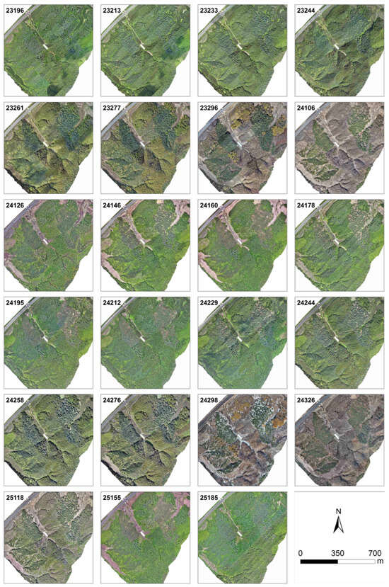 Remotesensing 17 03930 g0a1