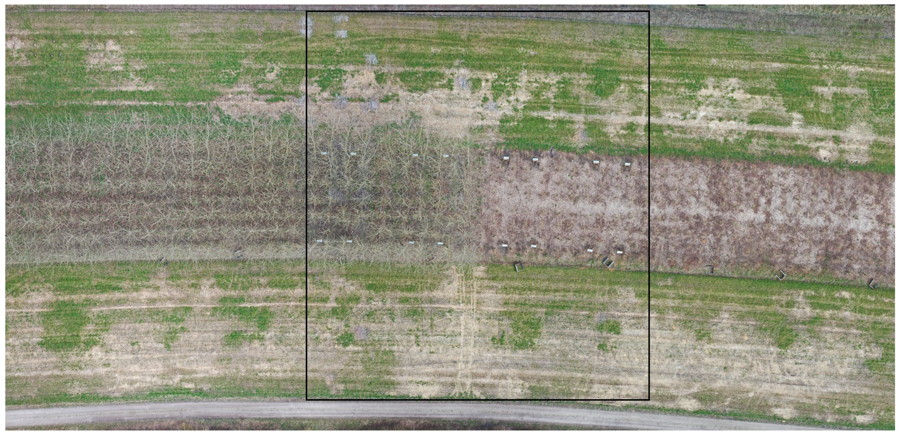 Remotesensing 17 03965 g0a1 Remotesensing 17 03965 g0a1